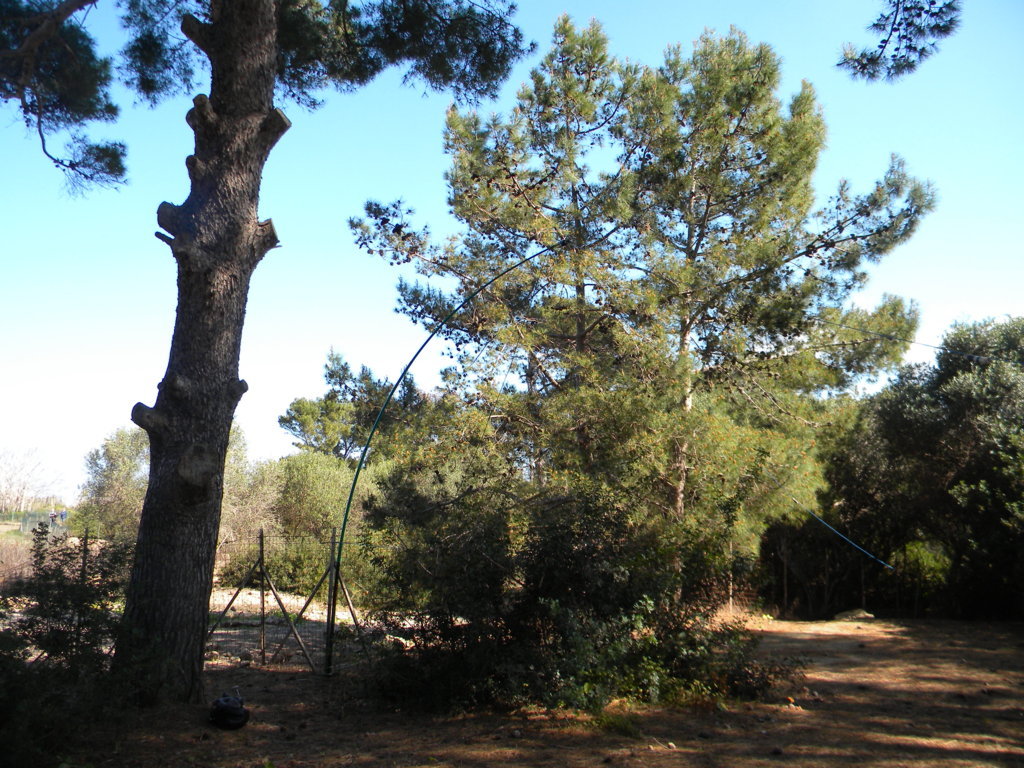 DSCN1868 (FILEminimizer).JPG